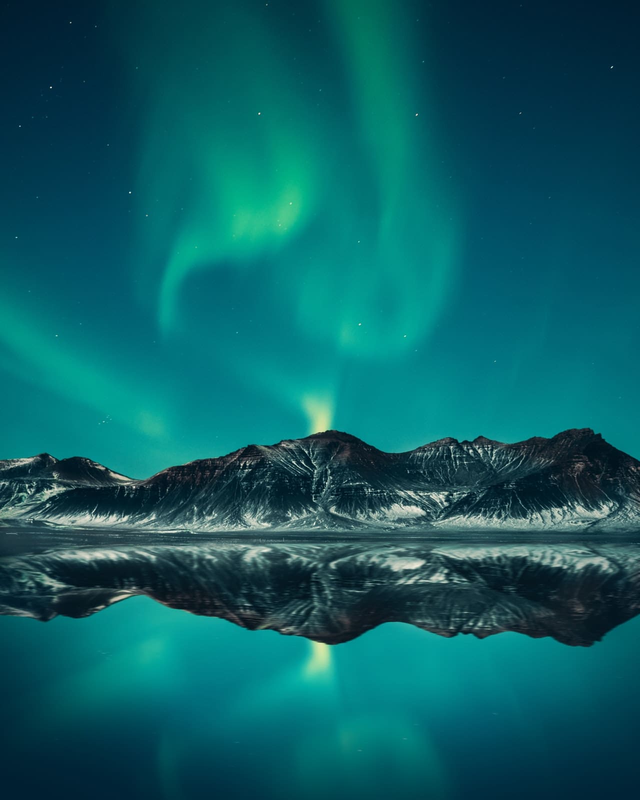 Northern Lights Hunt